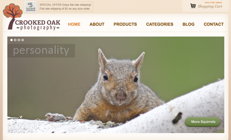 Spark Logix Studios WordPress & Marketing - Minneapolis, MN