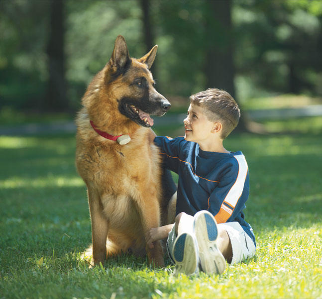 Pet Stop of Cincinnati Photo