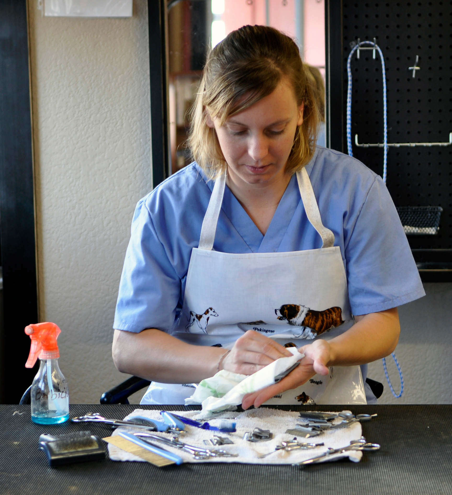 Golden Paws Pet Grooming School Photo