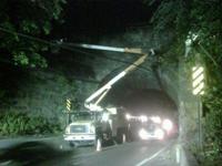 Dependable Land Maintenance & Tree Service LLC - Woodbury, NJ