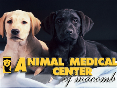 Animal Medical Center Photo