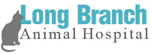 Long Branch Animal Hospital - Raymond N Smith DVM - Long Branch, NJ