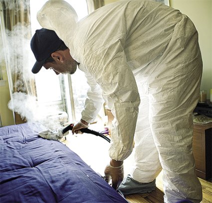 Exterminating Bed bugs in NY