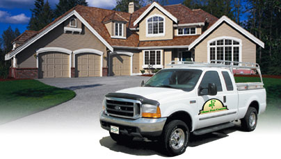 Alamo Pest Control - Revere, MA