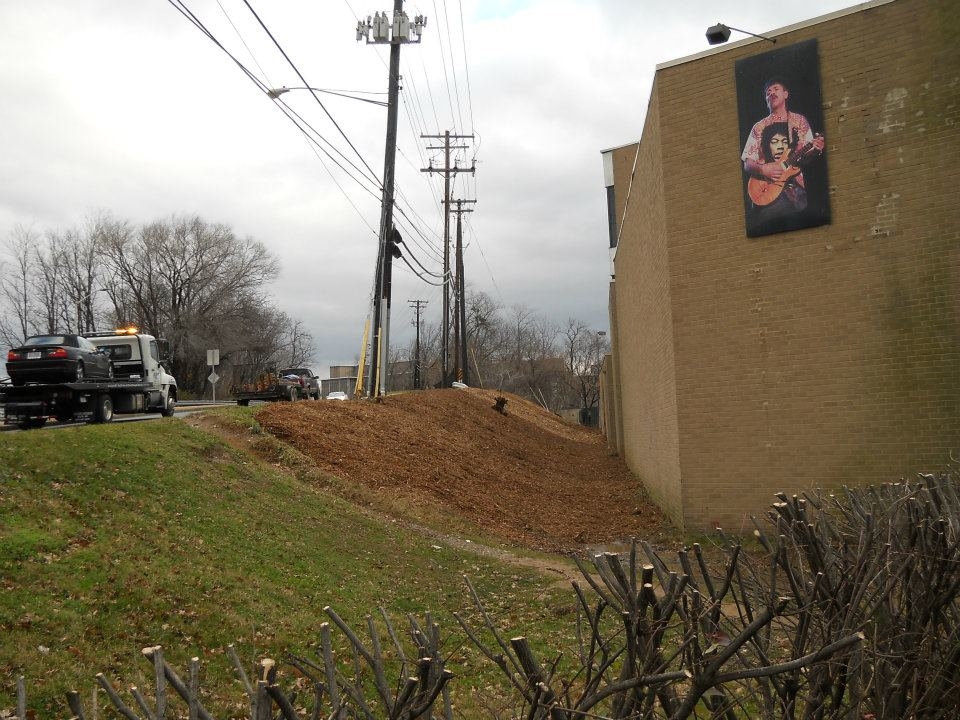 Branch Tree Experts Photo