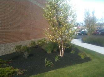 Northgate Plaza Lawn Care - Portland, ME