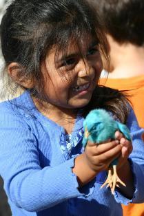 Kiddie Academy of Oceanside, CA Photo