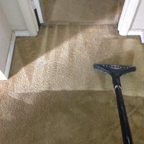 All Clean Carpets Photo