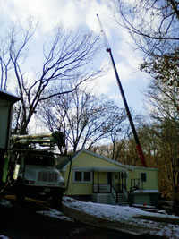 Middlesex Tree Service - Woburn, MA