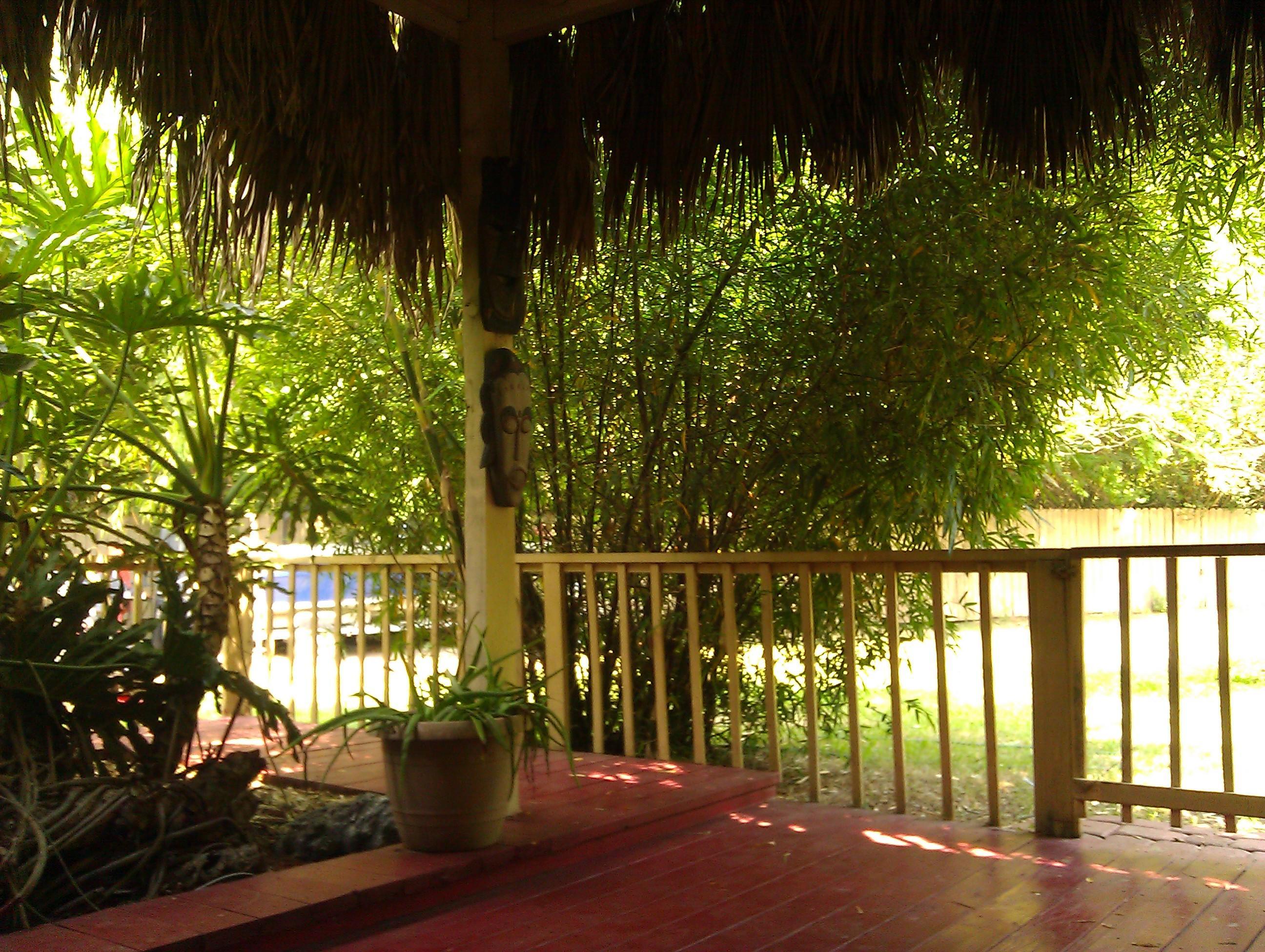 Bamboo Your Privacy Photo