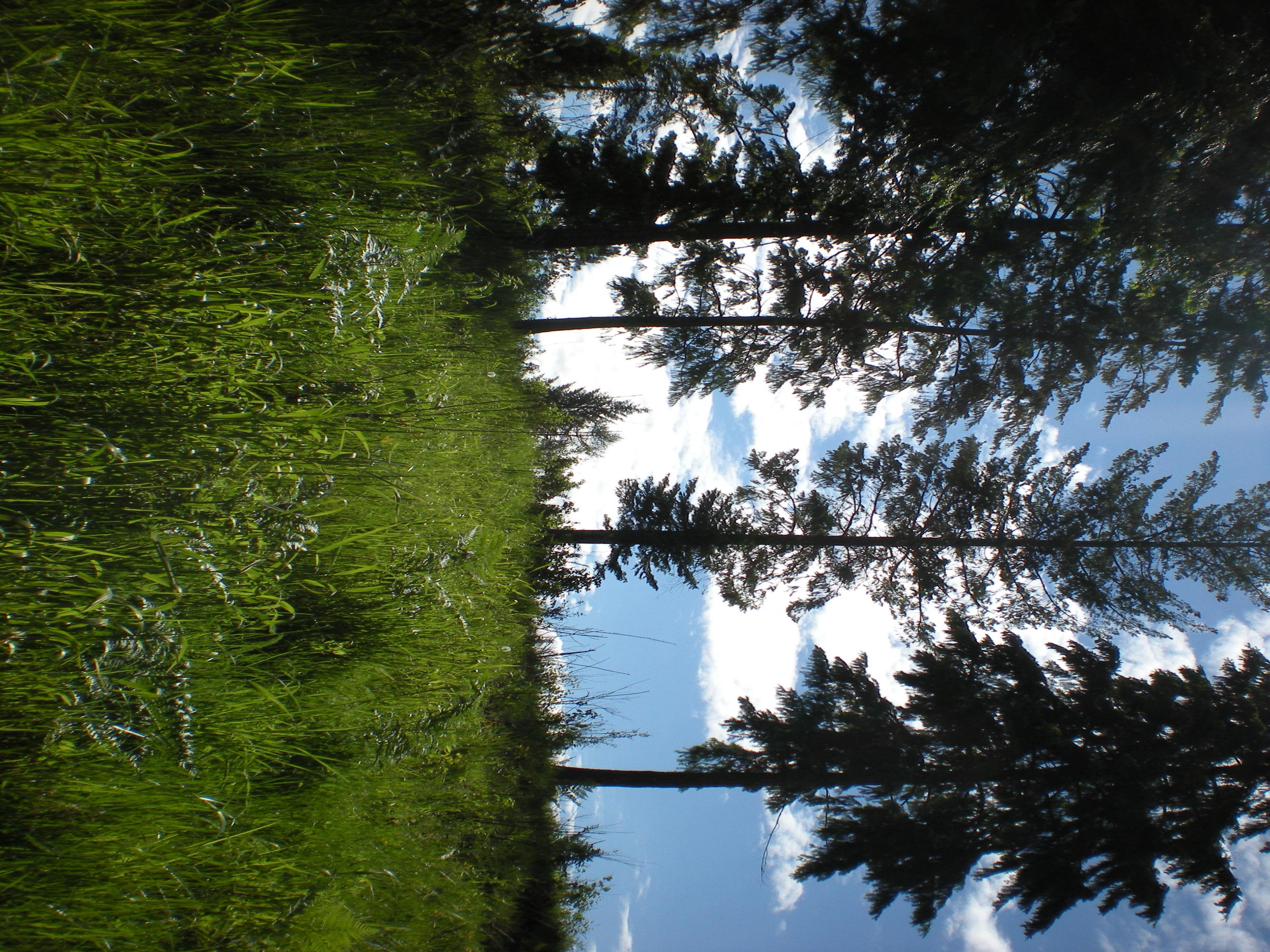 Mountain Air Resort - Hayden, ID