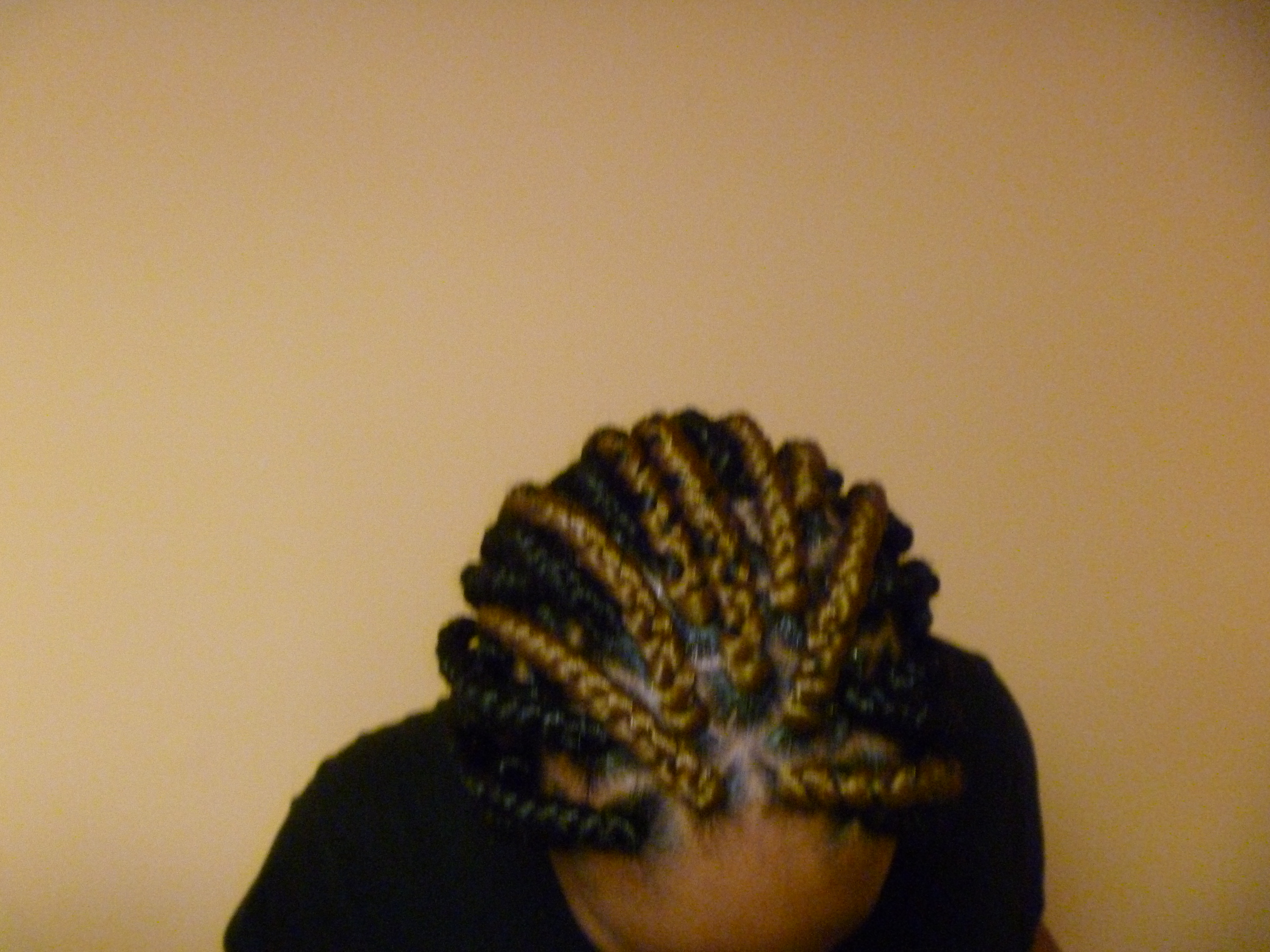 No 1 Hair Braiding Photo