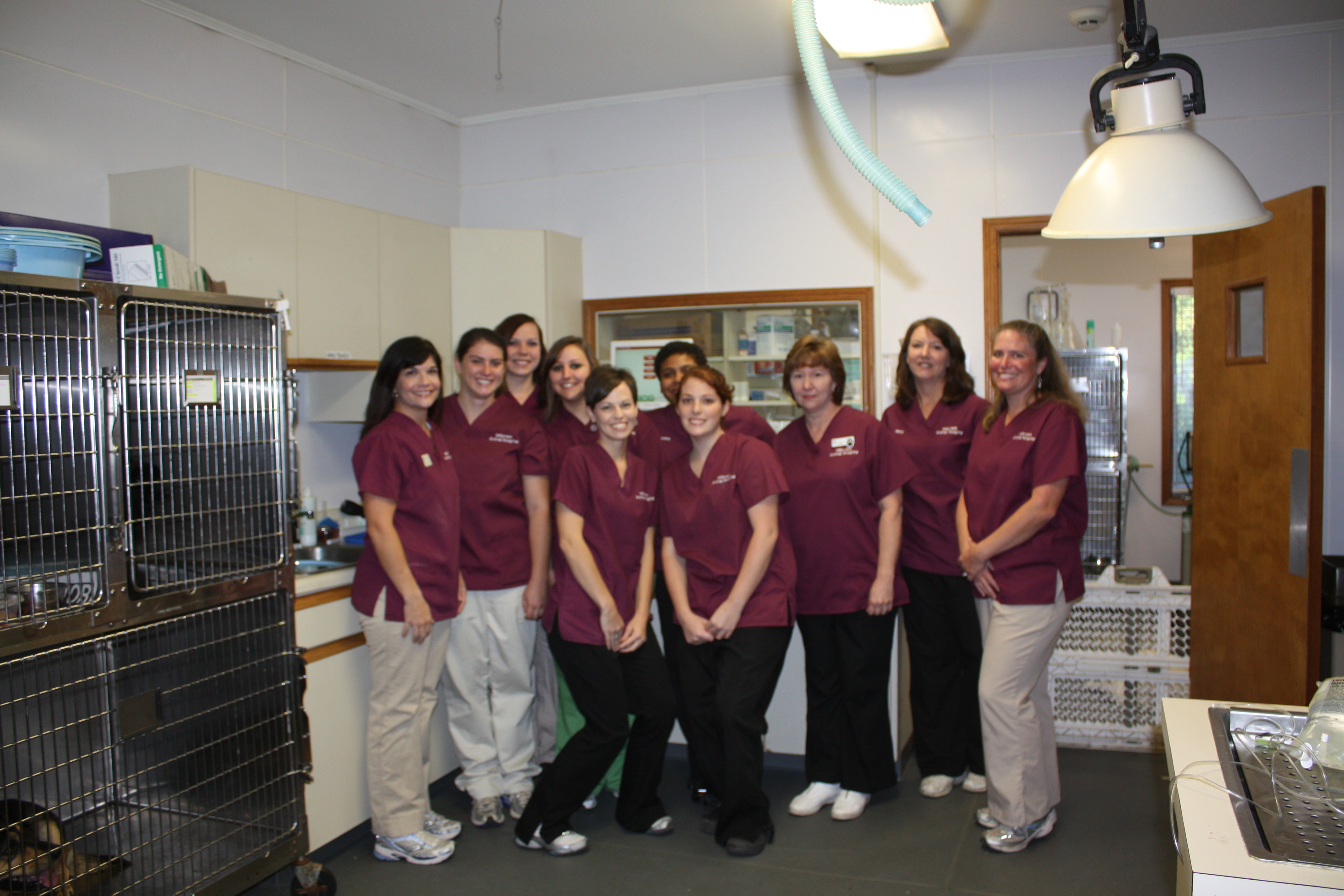 Mill Creek Animal Hospital Photo
