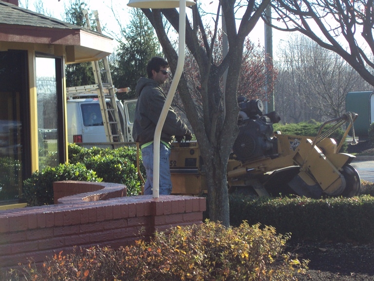 Dependable Land Maintenance & Tree Service LLC - Woodbury, NJ