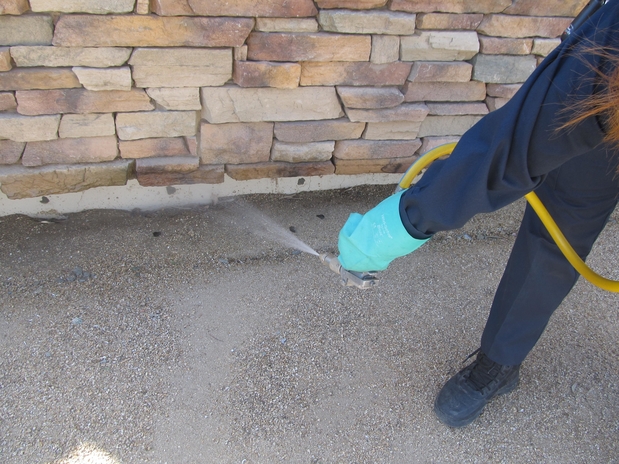 Images Bills Pest Termite Control Mesa Az