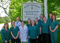 Green Mt Veterinary Hospital