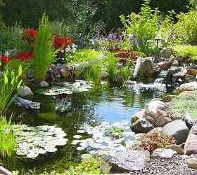 Imagine this in your backyard!  A perfectly balanced & designed water garden.