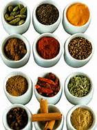 India's Tandoori ( Clay Pot )