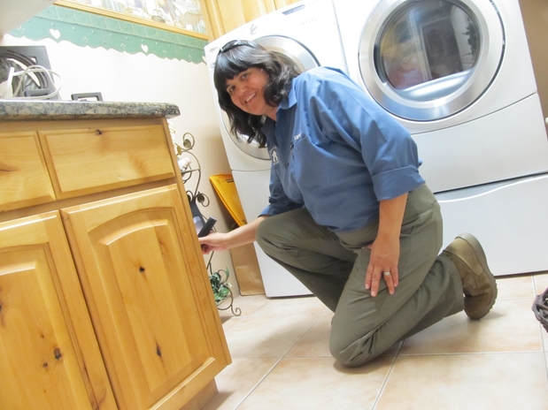 Images Bills Pest Termite Control Mesa Az