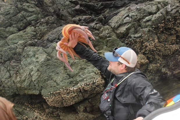 Images Discovery Sea Kayaks