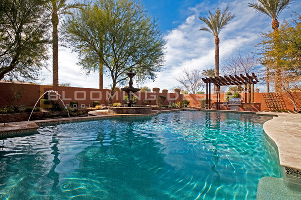 Images Blooming Desert Landscaping Inc.