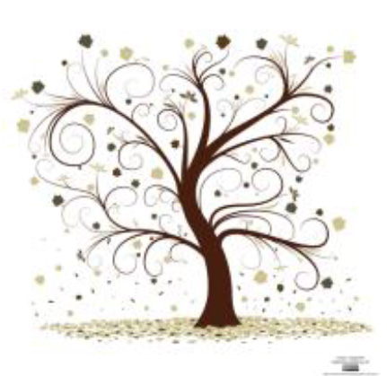 Natural Family Wellness