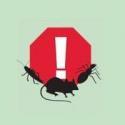 Best@Pest Exterminating Service Corp