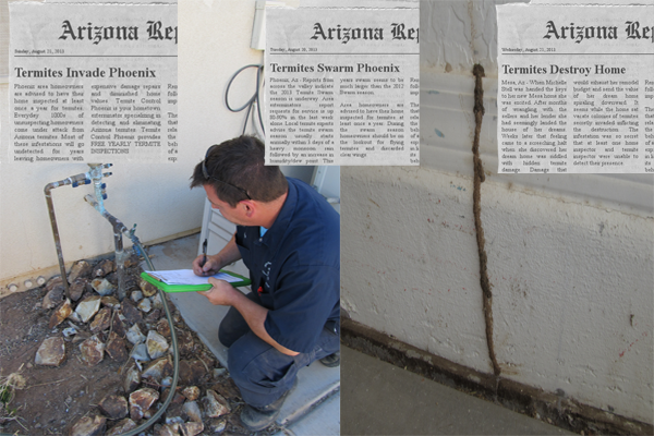 Images Bills Pest Termite Control Mesa Az