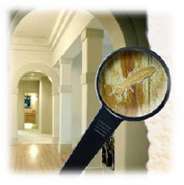 Images Bills Pest Termite Control Mesa Az