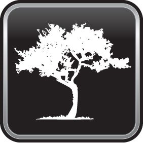 The Orchard