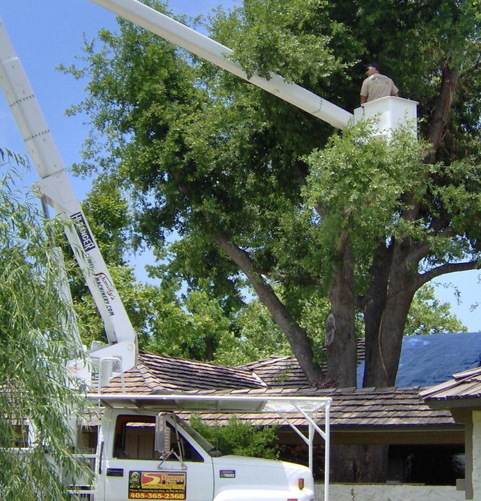 Stumpy Pro Tree Services & Stump Grinding