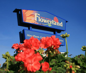 Flowerland Photo