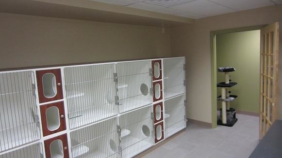 Images Green Forest Veterinary Hospital