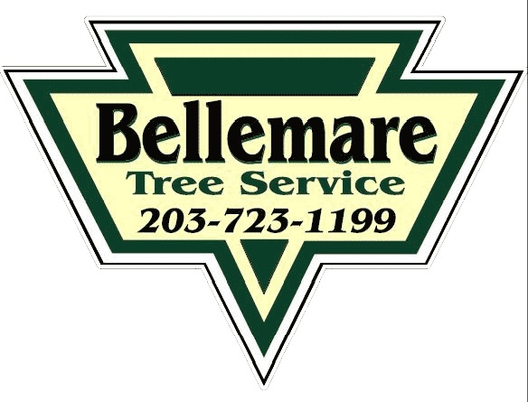 Bellemare Tree Service, Llc