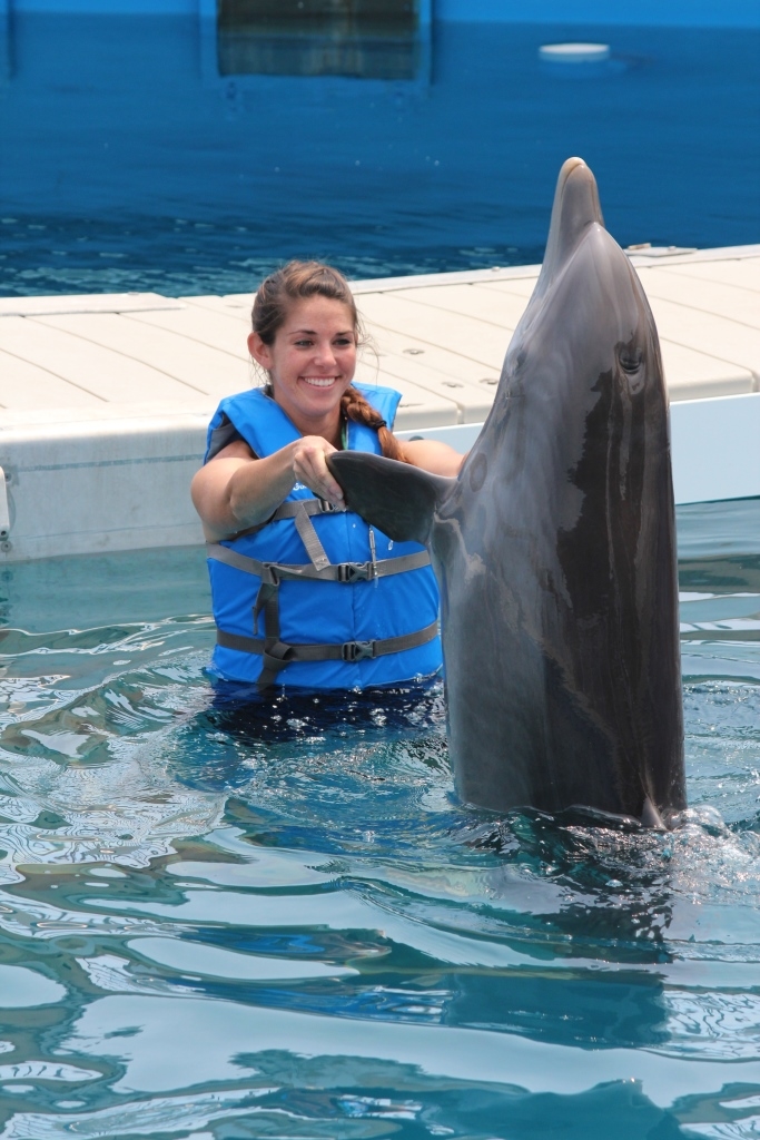Gulfarium coupons