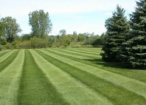 Mph Lawn & Landscape