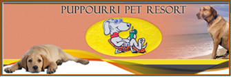 Puppourri Pet Resort