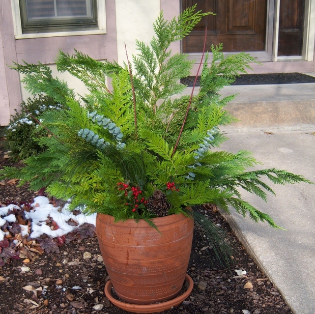 Images Greenleaf Garden Services