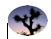 High Desert Counseling