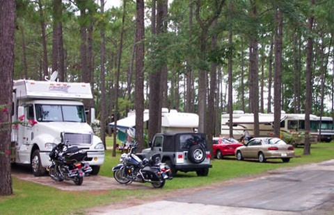 Amelia Island Boat Tours Coupons Amelia Island Boat Tours Coupons