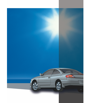 301 Window Tinting