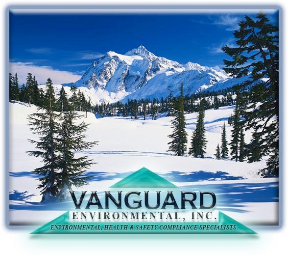 Vanguard Environmental