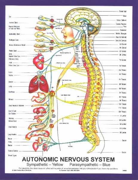 Images Unity Chiropractic Center