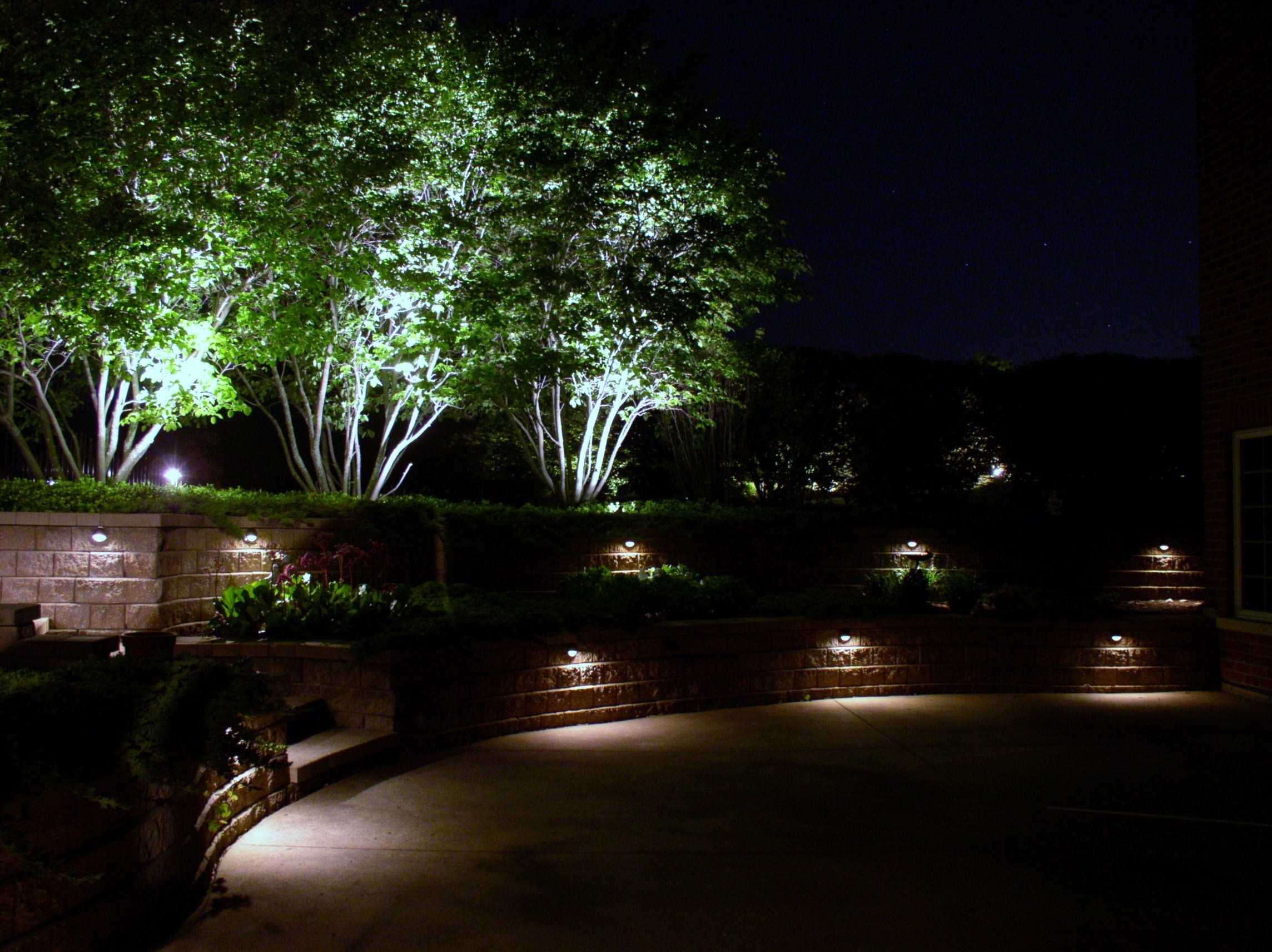 Tree and Wall Lighting by The Illuminators Outdoor Lighting