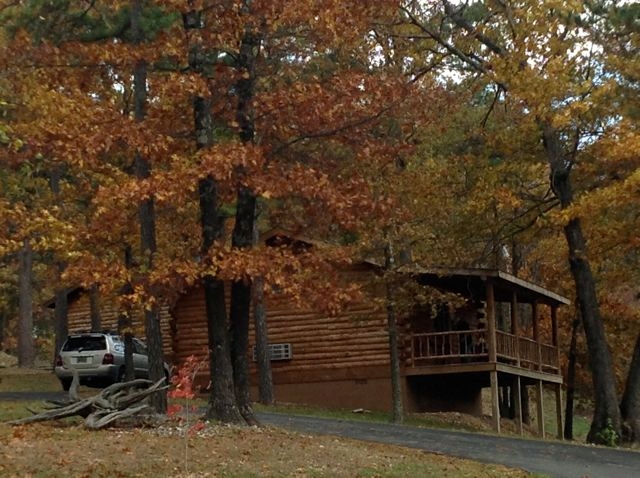 Wild Plum Log Cabins
