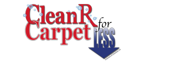 Cleanr Carpet For Less