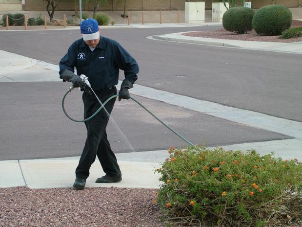 Images Bills Pest Termite Control Mesa Az