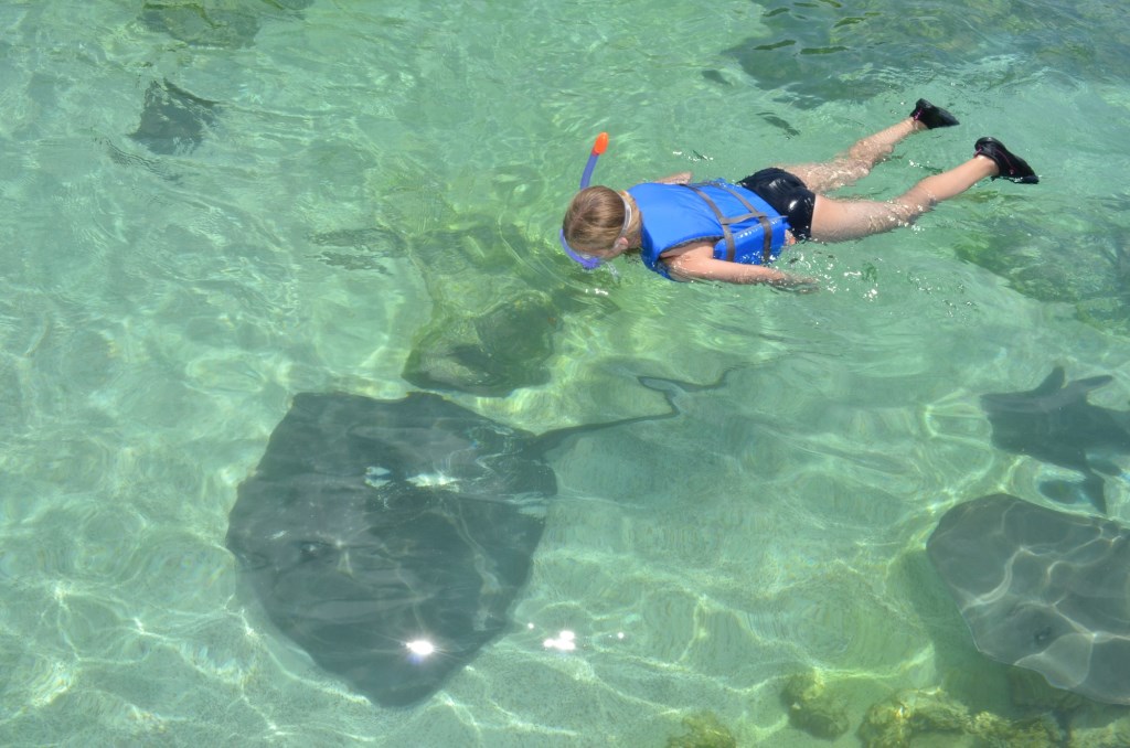 Gulfarium coupons