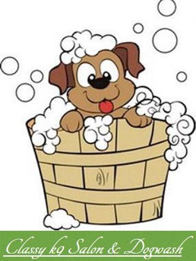 Classy K-9 Salon & Dogwash