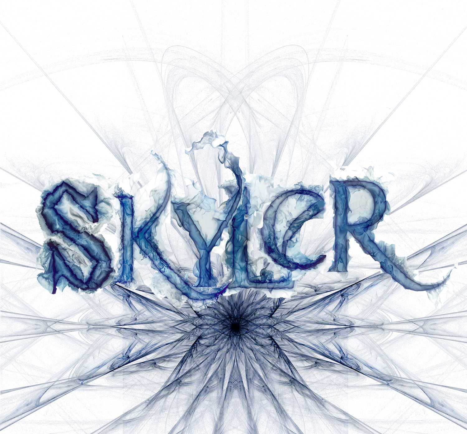 Skyler Professional Cleaning